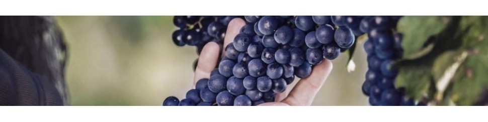 Cellier Prestige -  Tous nos Vins bio et vins biodynamiques
